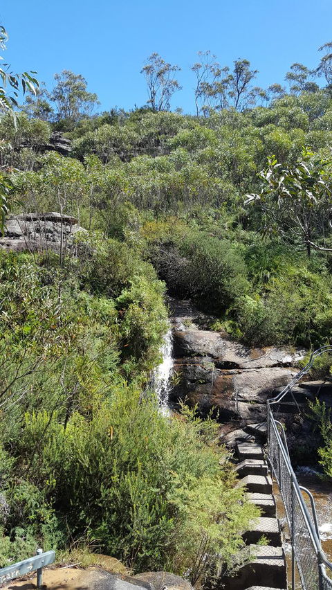 Blue Mountains Wildlife Full-Day Sights And Hiking From Sydney - Holiday Find 3