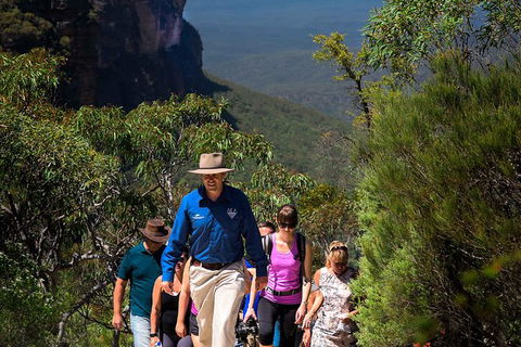 Blue Mountains Wildlife Full-Day Sights And Hiking From Sydney - Holiday Find 0