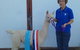 Marchmont Park Alpacas - thumb 0