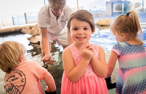 AQWA The Aquarium Of Western Australia - Holiday Find 2