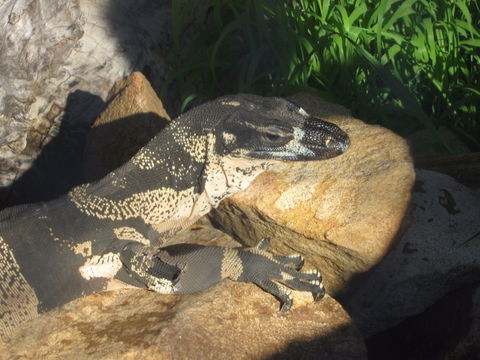 Armadale Reptile Centre - Holiday Find 0