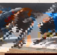 Big Bull Mural - Holiday Find