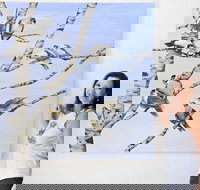 Bingara Gallery - Holiday Find