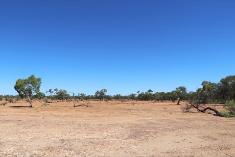 Bladensburg National Park - Holiday Find 1