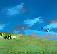 Bridgetown - Holiday Find