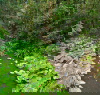 Brindle Creek Walking Track - Holiday Find