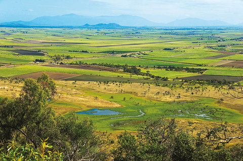 Burdekin - Holiday Find 1
