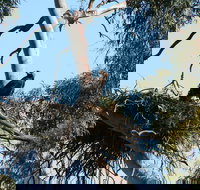 Castle Creek Reserve - Holiday Find