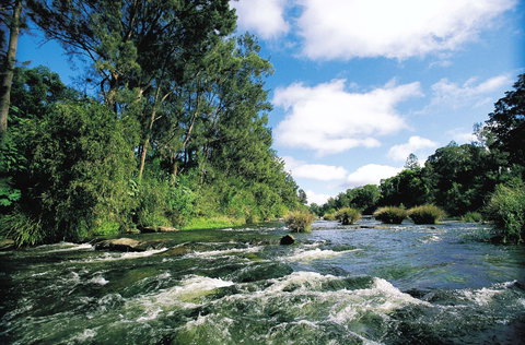 Casino - Holiday Find 0