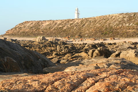 Corny Point Lighthouse - Holiday Find 0