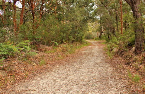 Daleys Point Walking Track - Holiday Find 0