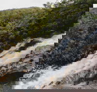 Davies Creek National Park and Dinden National Park