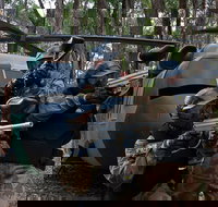 Delta Force Paintball Appin - Holiday Find