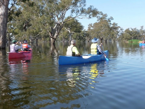 Doodle Cooma Swamp - Holiday Find 0