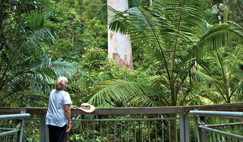 Grandis Picnic Area - Holiday Find 0