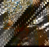 Gulaga National Park