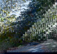 Hastings Forest Way Touring Route - Holiday Find