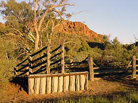 Illamurta Springs Conservation Reserve - Holiday Find 0