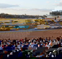 Ipswich Motorsport Precinct - Holiday Find