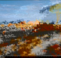 Kunjarra/The Pebbles - Holiday Find