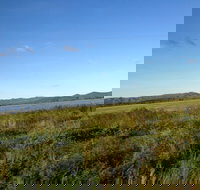 Lakeland - Holiday Find