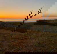 Lessismore Farm Afternoon Farmer - Holiday Find