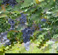 Luskintyre - Holiday Find