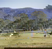 Megalong Valley - Holiday Find
