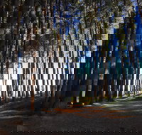 Mountain Bike Trails Tumbarumba - Holiday Find