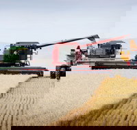 Mullaley - Holiday Find