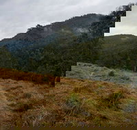 Nowendoc National Park - Holiday Find