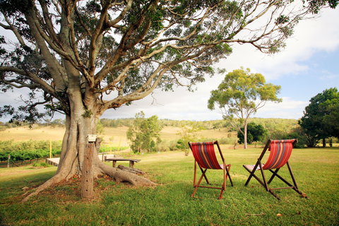 Perseverance - Holiday Find 1