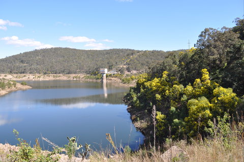 Perseverance - Holiday Find 2