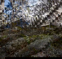 Pheasants Peak Walking Track - Holiday Find