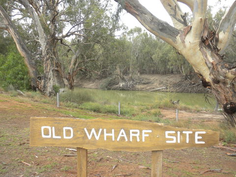 Pooncarie - Holiday Find 0