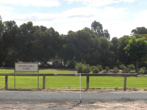 Pooncarie - Holiday Find 1