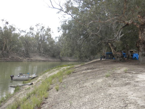 Pooncarie - Holiday Find 2