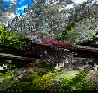 Puffing Billy Railway - Holiday Find