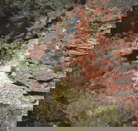 Ross Graham Lookout - Holiday Find