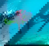 Shellharbour Scuba  and Photography Centre - Holiday Find