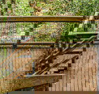 Somersby Falls walking track - Holiday Find