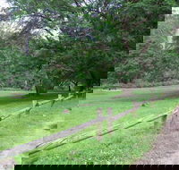 St Albans Reserve - Holiday Find