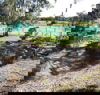 Tactical Paintball Games - Holiday Find