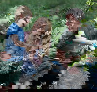 Tamworth Marsupial Park and Adventure Playground - Holiday Find