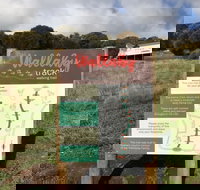 The Wallaby Track - Holiday Find