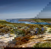 The Coast track - Holiday Find