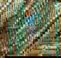 Trees Adventure Yeodene Park - Holiday Find