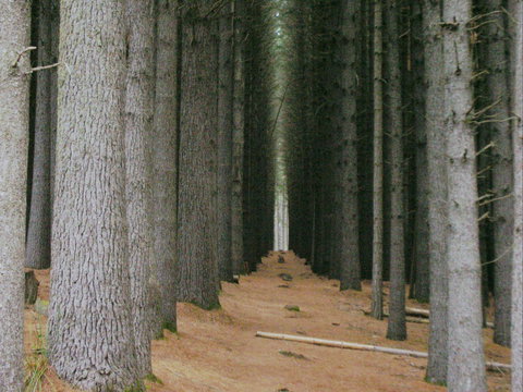 Tumut - Holiday Find 2