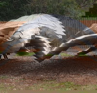 Underwater Marine Sculptures - Holiday Find