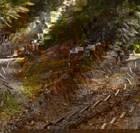 West Coast - Holiday Find